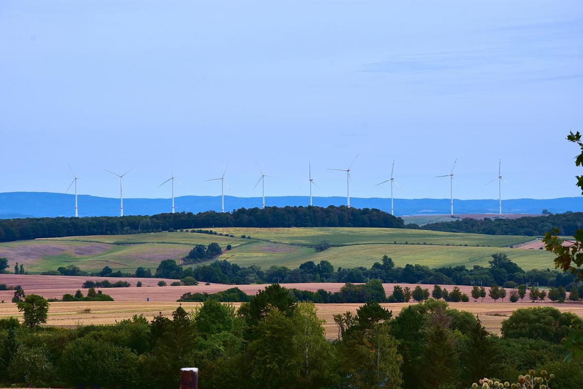 Blick auf viele Windräder