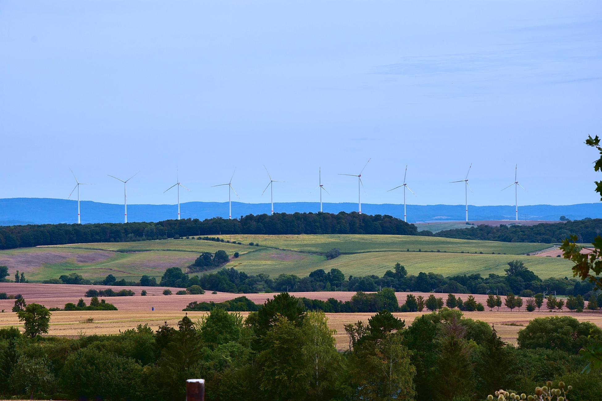 Blick auf viele Windräder